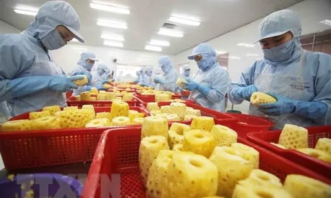 218 DN vào danh sách sơ tuyển “Doanh nghiệp xuất khẩu uy tín”