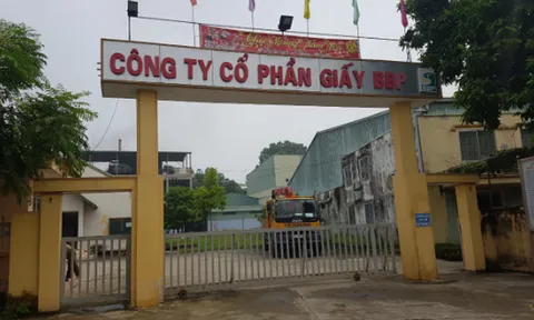 Sốt sắng thu hồi nợ, Vietinbank lần thứ 7 rao bán tài sản thuộc Nhà máy gạch Tuynel Bắc Á và Công ty giấy BBP tại Phú Thọ