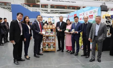 Cơ hội cho nông sản thuần chay Việt Nam tiến vào thị trường Anh và EU