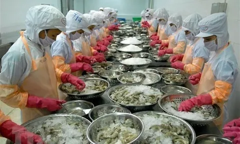 Cơ hội mới cho hợp tác thương mại Việt Nam với Luxembuorg, Hà Lan, Bỉ