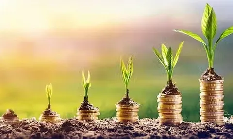 COP15: Thêm 6 nước cam kết tăng hỗ trợ tài chính bảo tồn hệ sinh thái