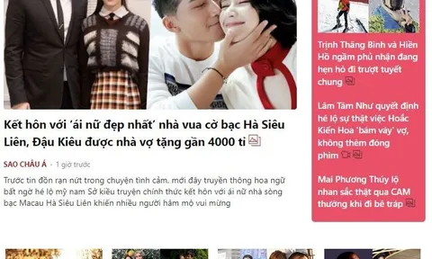 Xử phạt 40 triệu đồng trang vietgiaitri.com vì vi phạm lĩnh vực báo chí