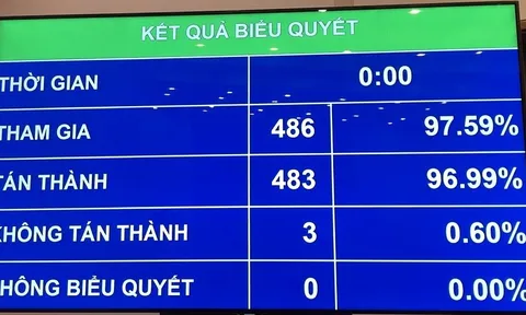 Quốc hội phê chuẩn việc miễn nhiệm hai Phó Thủ tướng