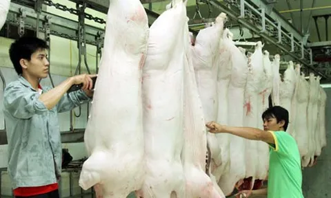 Tăng cường công tác quản lý, kiểm soát giết mổ động vật bảo đảm an toàn dịch bệnh, an toàn thực phẩm