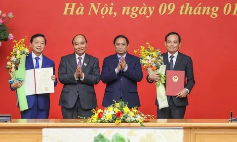Thủ tướng phân công nhiệm vụ của các Phó Thủ tướng Chính phủ