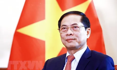 Giữ vững bản sắc đối ngoại Việt Nam, ứng phó với vạn biến của thế giới