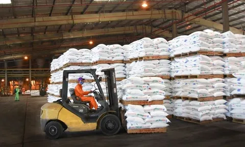 Việt Nam cần những doanh nghiệp giữ vai trò ‘sếu đầu đàn’ trong lĩnh vực sản xuất