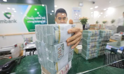 Ngân hàng Nhà nước có thể mua khoảng 12 tỷ USD trong năm 2023