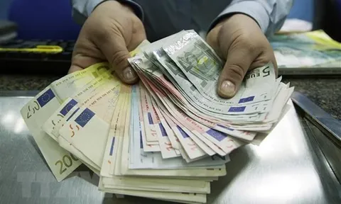ECB cảnh báo ngân hàng trong Eurozone về các rủi ro tiềm ẩn trong 2023