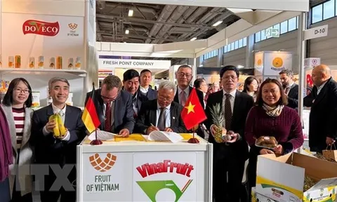 Gian hàng Việt Nam nhộn nhịp nhất Hội chợ Fruit Logistica tại Đức