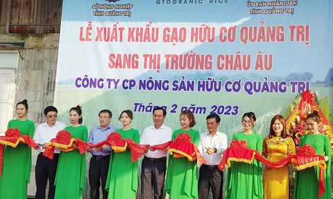Quảng Trị xuất khẩu 15 tấn gạo hữu cơ đầu tiên sang thị trường châu Âu