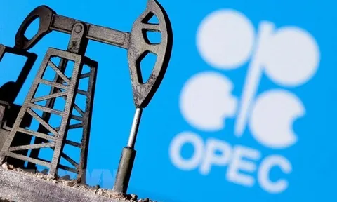 OPEC: Nhu cầu năng lượng trong năm nay sẽ đạt mức trước dịch COVID-19