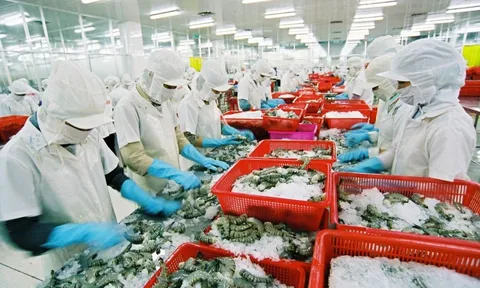 VCCI đề nghị không chồng chéo trong kiểm tra, xác minh xuất xứ hàng hoá