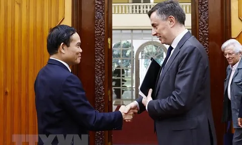 Thúc đẩy quan hệ đối tác và hợp tác toàn diện giữa Việt Nam và EU