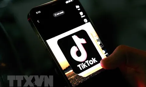 Nghị viện châu Âu cấm sử dụng TikTok do lo ngại an ninh