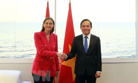 Phó Thủ tướng Trần Lưu Quang hội đàm với người đồng cấp Tây Ban Nha