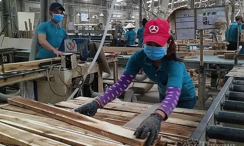 Việt Nam là thị trường cung cấp đồ nội thất bằng gỗ lớn thứ 4 cho Canada