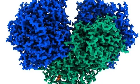 Australia phát hiện enzyme có thể biến không khí thành điện