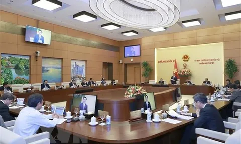 Ủy ban Thường vụ Quốc hội cho ý kiến về dự án Luật Đấu thầu