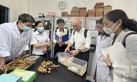 Xúc tiến xuất khẩu mặt hàng trọng tâm tại thị trường Nhật Bản
