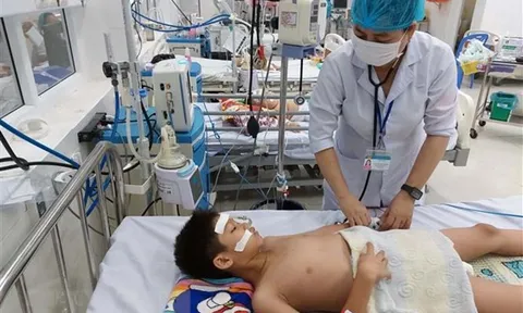 Thành phố Hồ Chí Minh nâng cao cảnh giác với bệnh do virus Marburg