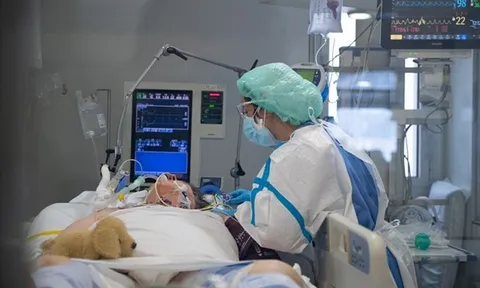 WHO cảnh báo số ca tử vong do bệnh lao tại châu Âu đang tăng trở lại
