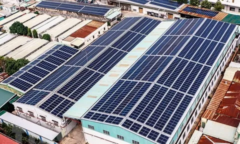 9 dự án Việt đầu tiên tham gia Chương trình thúc đẩy tài chính khí hậu