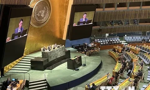 Việt Nam thúc đẩy Nghị quyết đề nghị ICJ tư vấn về biến đổi khí hậu