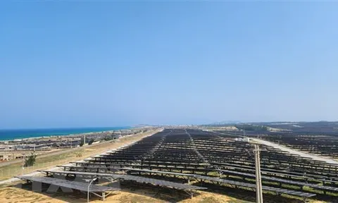 Doanh nghiệp điện mặt trời đề xuất gỡ khó cho dự án điện chuyển tiếp