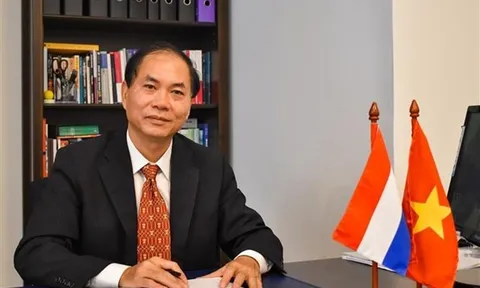 Nâng tầm hơn nữa quan hệ hợp tác đối tác toàn diện Việt Nam-Hà Lan