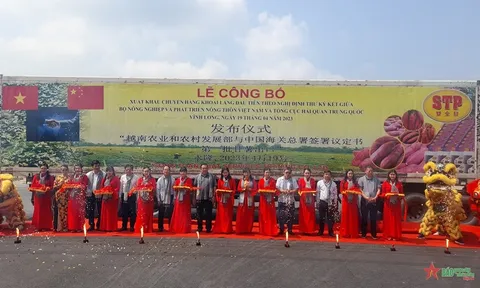 Vĩnh Long xuất lô khoai lang đầu tiên sang Trung Quốc bằng đường chính ngạch