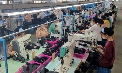 Hướng dẫn doanh nghiệp về thủ tục cấp chứng nhận tiêu chuẩn của Ấn Độ