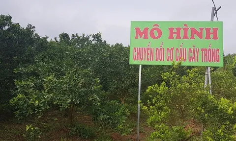 Hiệu quả sản xuất bền vững từ xây dựng nông thôn mới