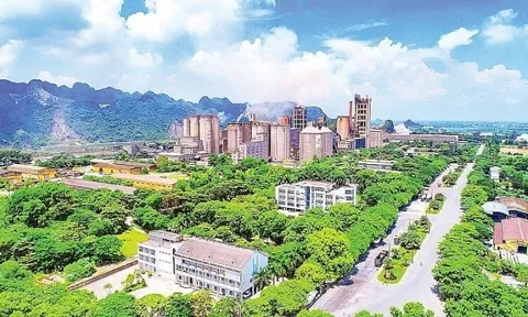 Hàng loạt doanh nghiệp xi măng bị thanh tra