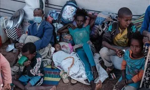 Liên hợp quốc cảnh báo dịch tả bùng phát ở Ethiopia