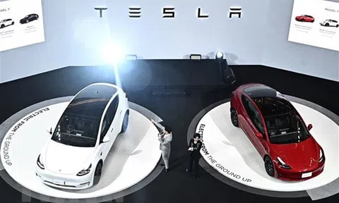 Tesla đưa xe điện sản xuất tại Trung Quốc xuất khẩu sang Canada