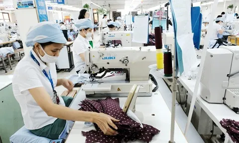 Thị trường trầm lắng: Doanh nghiệp xuất khẩu nỗ lực tìm hướng đi mới