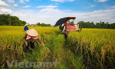 Cho phép chuyển nhượng vốn góp có làm mất đi bản chất của hợp tác xã?
