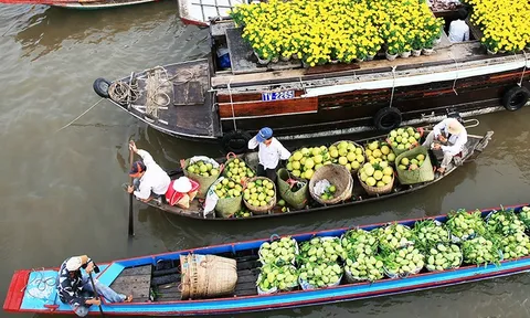 Du lịch miệt vườn, sông nước Nam Bộ
