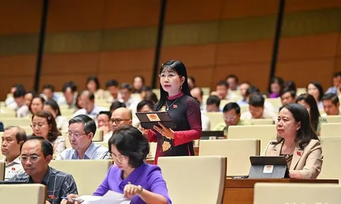 Phân loại và tận dụng triệt để rác thải sẽ là nguồn tài nguyên vô cùng lớn