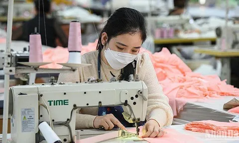 Kết nối, chia sẻ cơ sở dữ liệu về lao động-việc làm