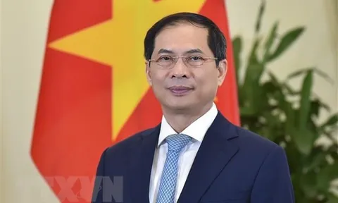 Việt Nam-Pháp trước nhiều cơ hội đưa quan hệ hợp tác lên tầm cao mới