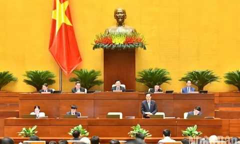 Bộ trưởng Lao động-Thương binh và Xã hội: Tỷ lệ thất nghiệp của Việt Nam vẫn thấp so mặt bằng chung thế giới