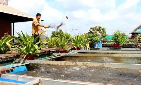 Người nông dân thành công với mô hình nông nghiệp kết hợp du lịch