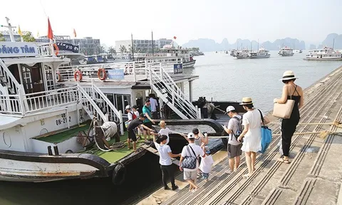 Cảnh giác với những trò lừa đảo về dịch vụ du lịch
