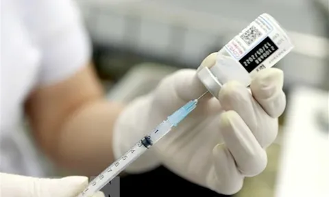 Tòa án Đức xem xét các đơn khiếu nại liên quan tiêm vaccine COVID-19