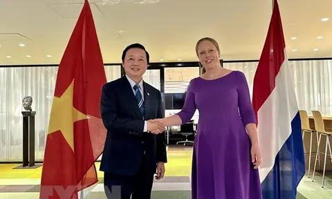 Quyết tâm đưa quan hệ Việt Nam-Hà Lan đi vào chiều sâu, hiệu quả