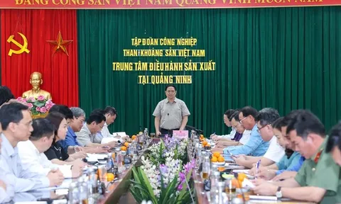 Thủ tướng chỉ đạo bảo đảm cung ứng đủ điện cho sản xuất và tiêu dùng của nhân dân