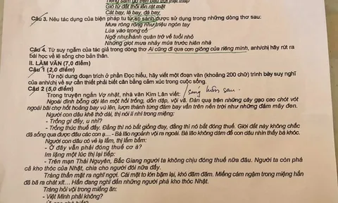 Đề thi chính thức môn Ngữ văn kỳ thi tốt nghiệp Trung học phổ thông Quốc gia 2023