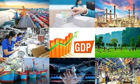 Ngân hàng Thế giới hỗ trợ Việt Nam 263,9 triệu USD phục hồi bao trùm và bền vững